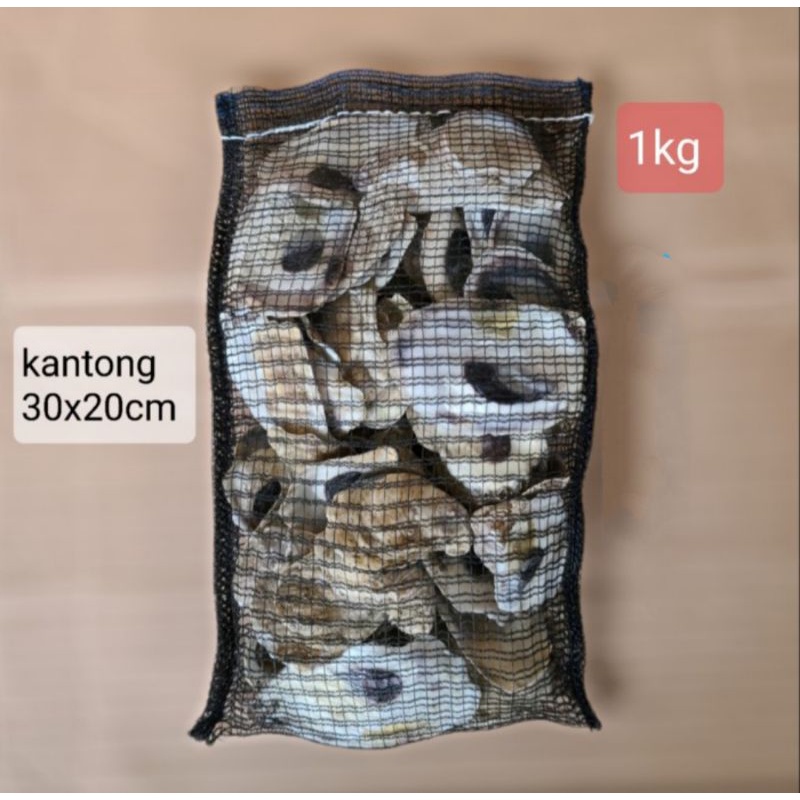 kerang oyster kemasan 1 kg Stabil PH kolam Koi