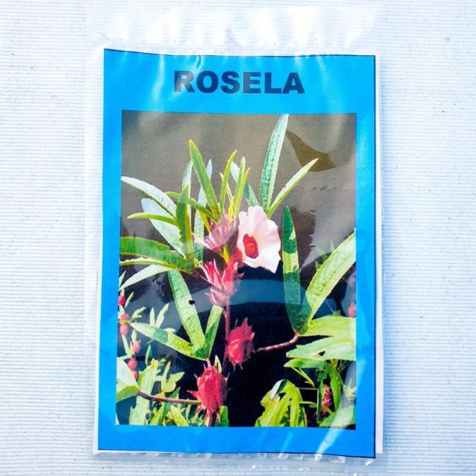 Buruan Serbu] Benih Biji Bunga Rosela , The Edible Flower Rosella