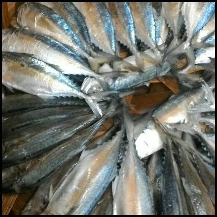 

Ikan Gembung Rebus Medan