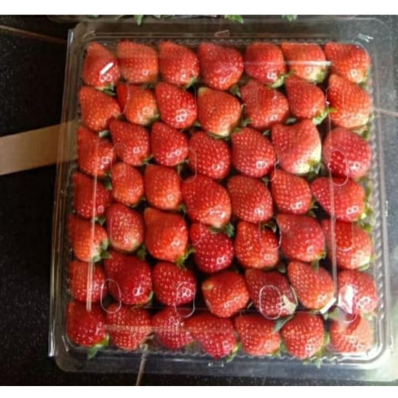 

stroberry fresh ciwidey Grade A ( bandung only )