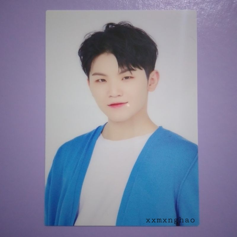 tc dome tour seventeen shitajiki woozi