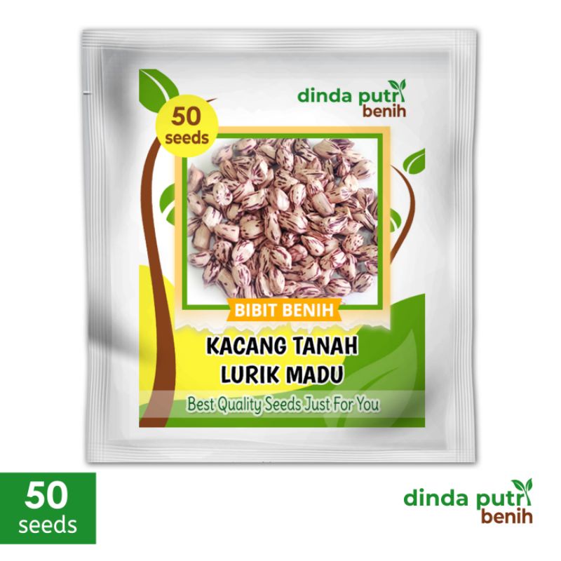 Jual Benih Kacang Tanah Lurik Madu Isi Benih 50biji Benih Superrbibit Kacang Tanah Unggul 2835