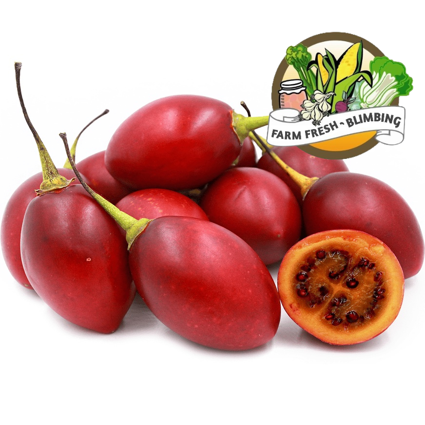 

terong belanda 1kg