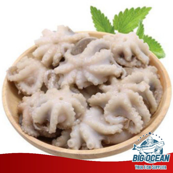 

Baby Octopus Mentah @1kg