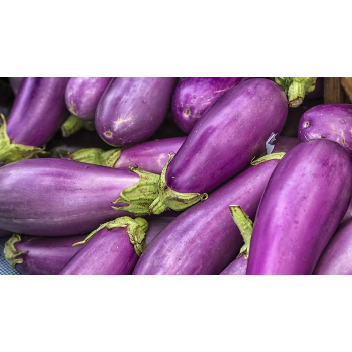 

Terong Ungu Fresh