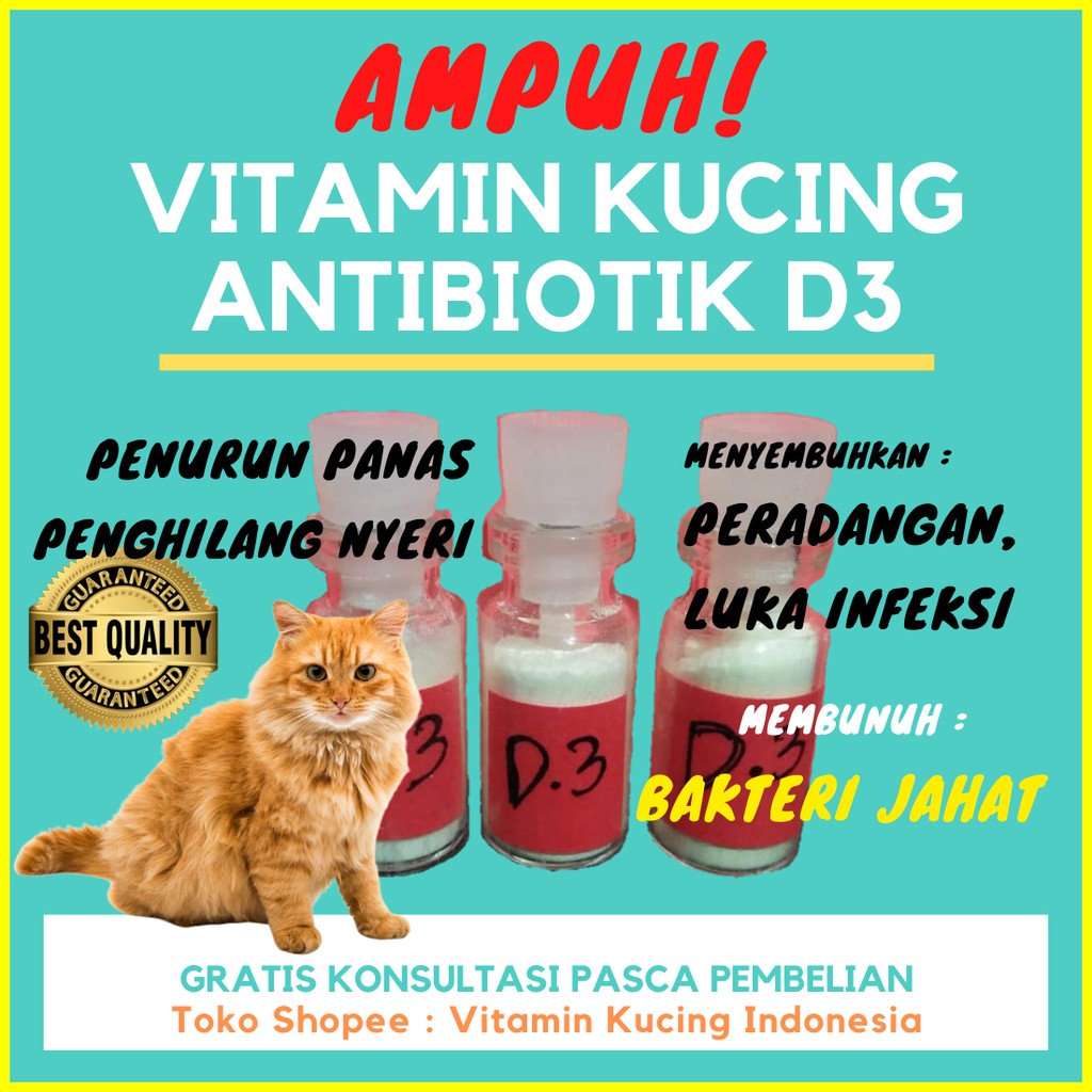 Antibiotik D3 Vitamin Kucing Obat Kucing Cat Food Makanan Kucing Jamur Kucing Obat Flu Kucing Indonesia