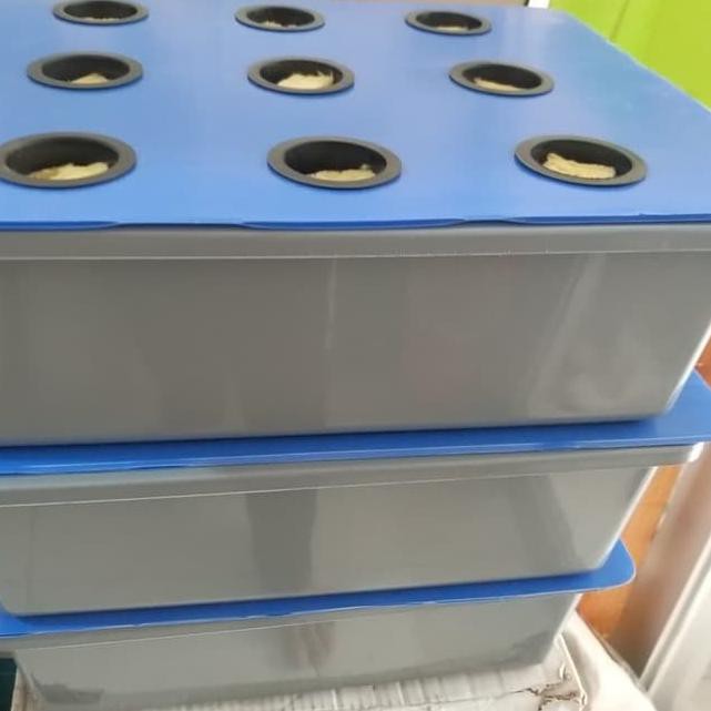 

*Hot Sell' Starterkit hidroponik 9 lubang paket lengkap packing kardus.. .. ..