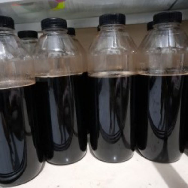 

maduakasiaapismelifera