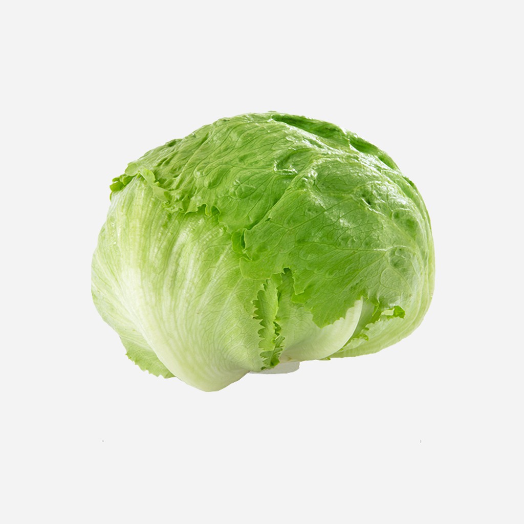 

Selada Lettuce Segar 500 gr & 1 kg