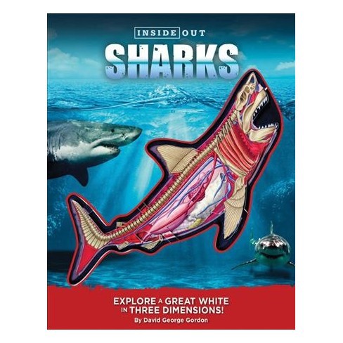 INSIDE OUT SHARKS