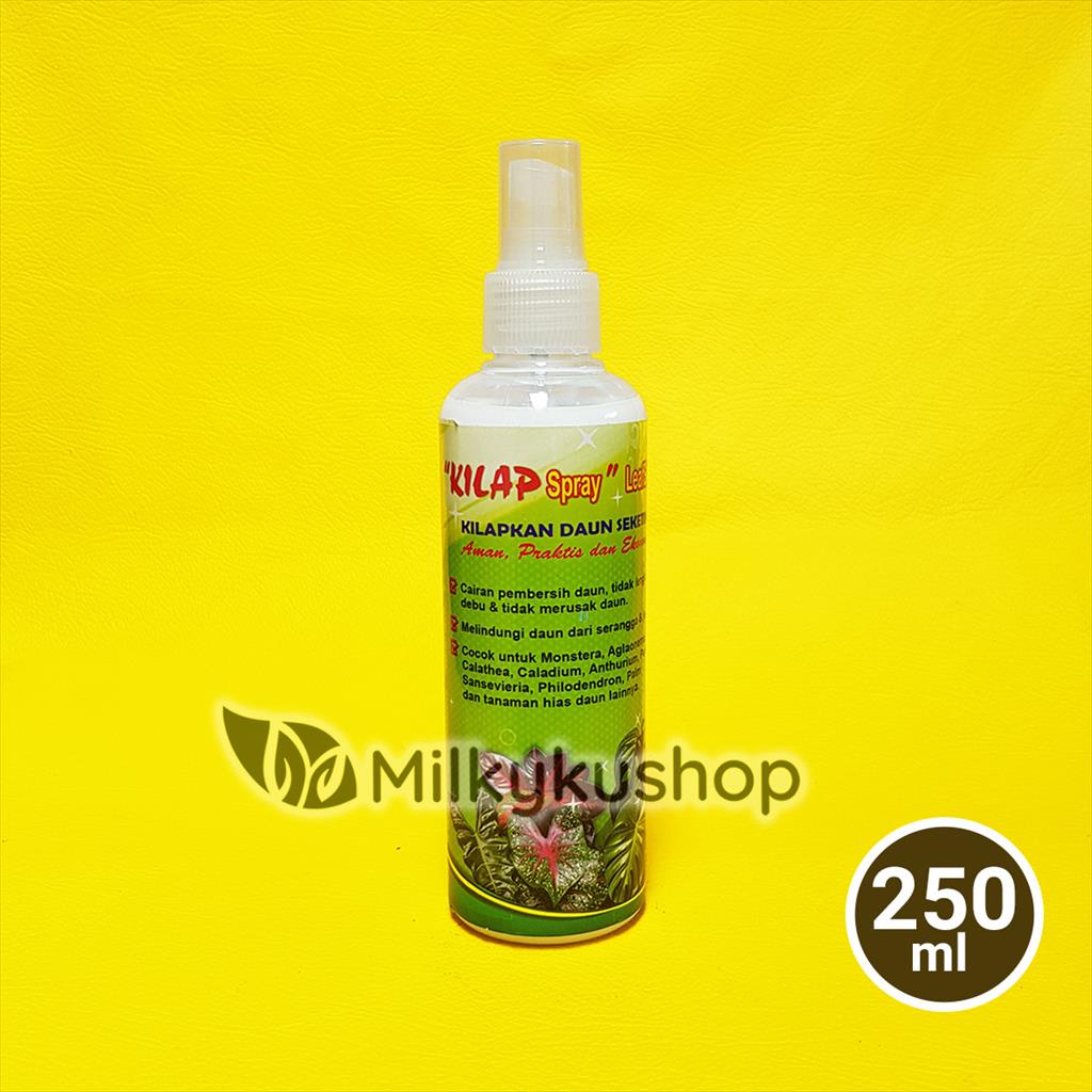 KILAP LEAFSHINE SPRAY 250 ML SEMIR PENGKILAP DAUN