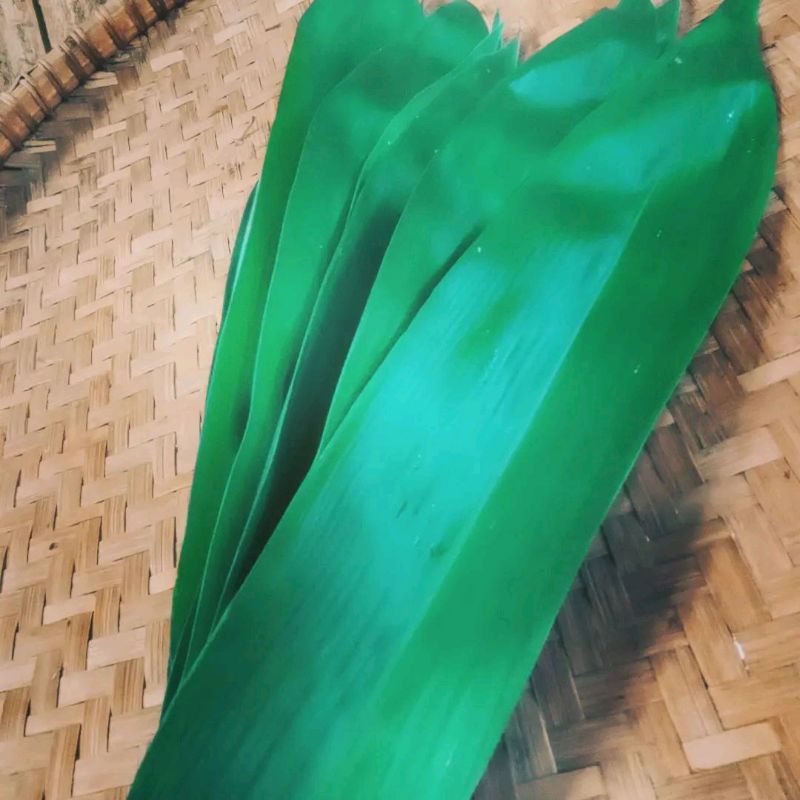 

daun bambu jumbo
