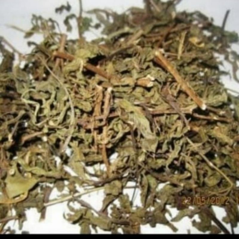 

Herbal Daun Kumis Kucing Kering 500 gr