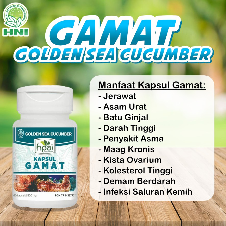 KAPSUL GAMAT HNI HPAI Herbal luka luar dalam Gatal Kulit Alergi Tulang