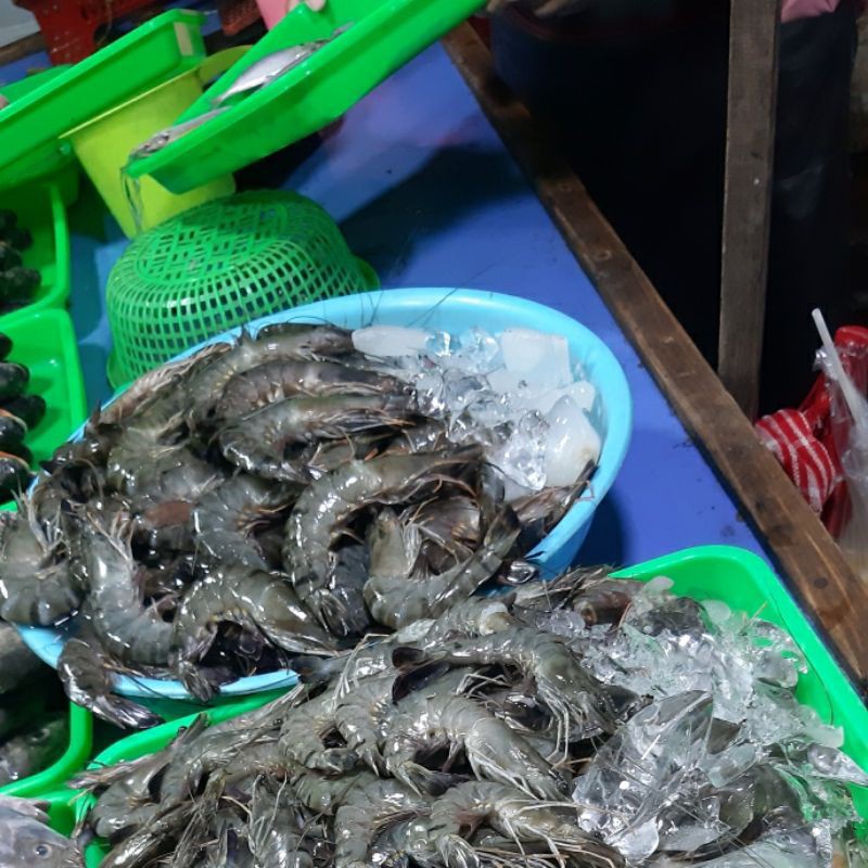

Udang Tawar Besar 1kg (1000g)
