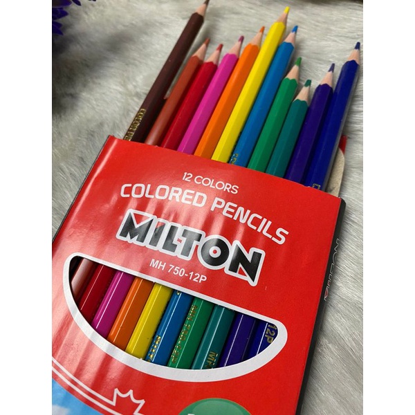 PENSIL WARNA 12 PCS PANJANG MILTON MONTANA | ALAT MENGGAMBAR WARNA-WARNI-1