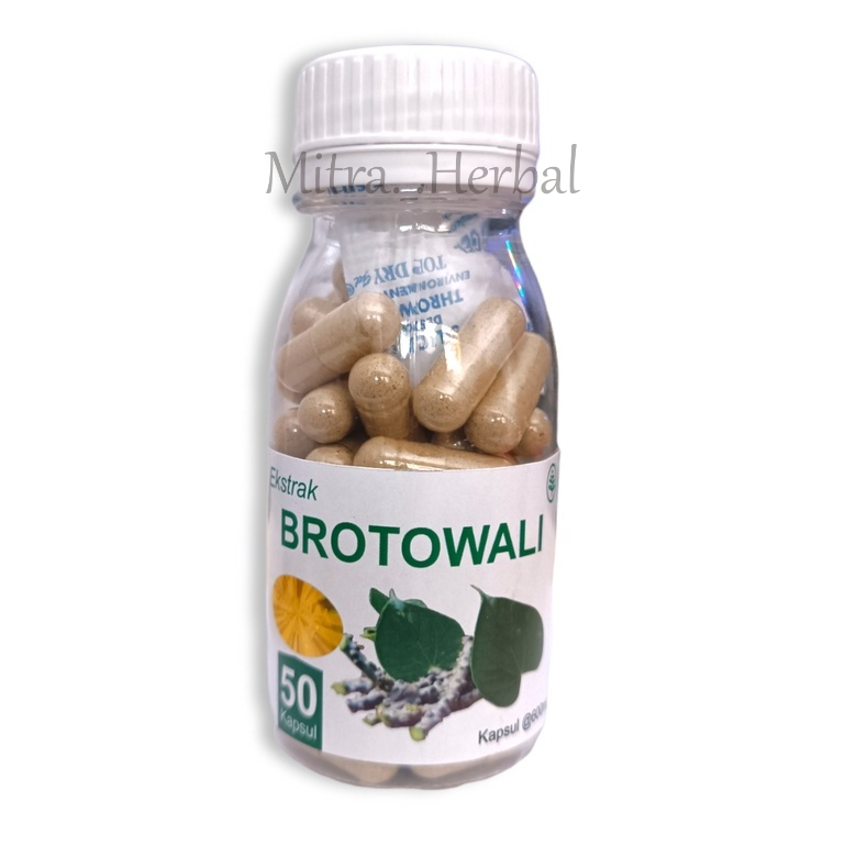 Brotowali Kapsul Obat Gatal / Alergi Biduran / Herbal Daun Jamu / Suplemen Kesehatan Isi 50 Kapsul