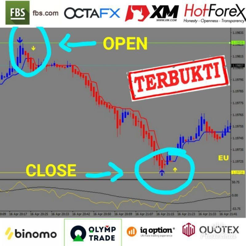 Jual Signal Indikator Trading Forex Fbs Octa Fx Binomo Indonesia|Shopee Indonesia