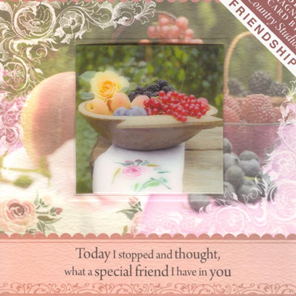 

3D Card With Magnet Card Gambar Buah-Buahan