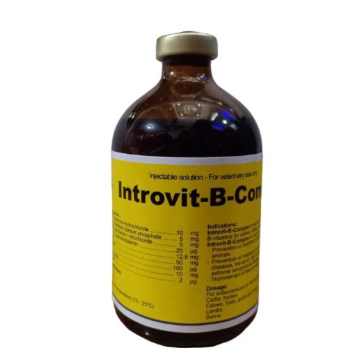 INTROVIT B-COMPLEX inject 100ml