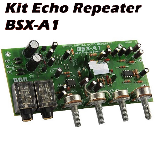 BSX-A1 KIT Pre-amp Echo Mic Repeater Digital Echo Mic Amplifier Audio Tone Control BSX A1 2 Mic