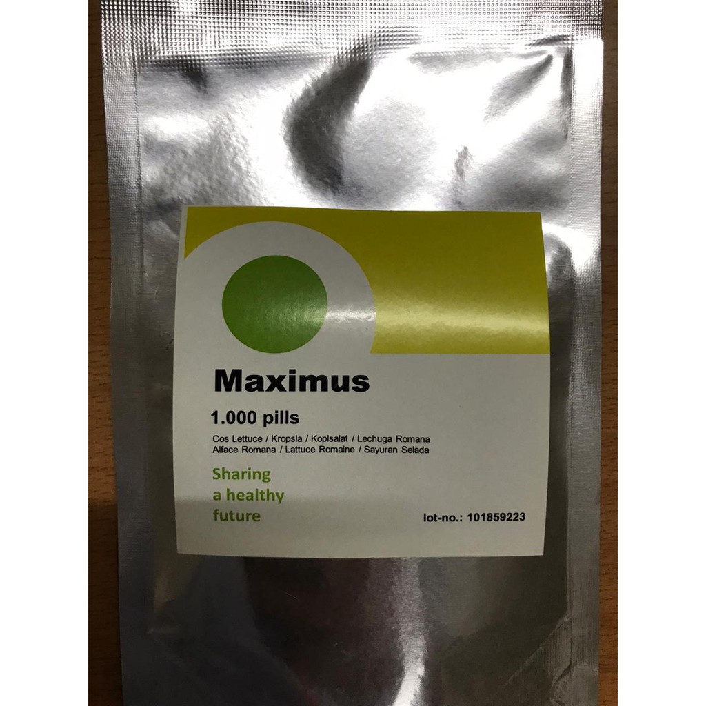 1000 seed - Benih Romaine Maximus Rijk Zwaan