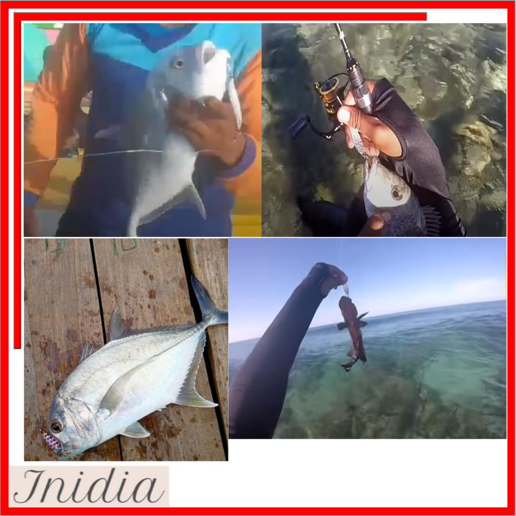 UMPAN SPOON STIKER HOLOGRAM SILVER 20G SPOOL UL METAL KILLER TIRUAN BUKAN JIG MINNOW YAJIE HENGJIA