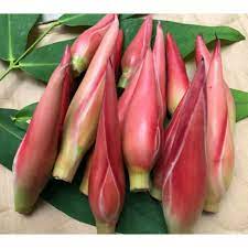 

bunga kecombrang rombeh /1kg