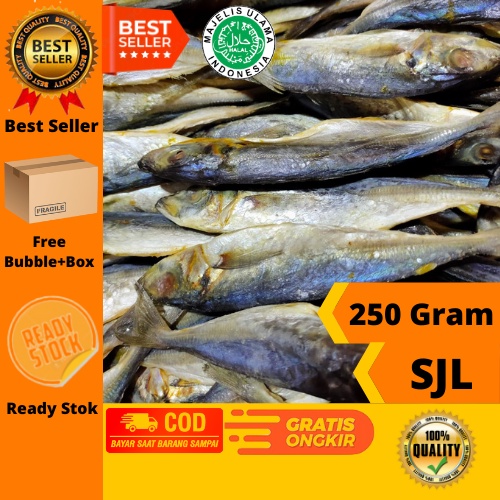 

Ikan asi layang / ikan asin peda buleud-500Gram SJL