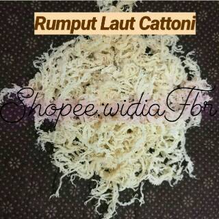 Rumput Laut Kering 1kg / Rumput Laut Cottoni 1000gr / Rumput Laut Putih 1kg untuk kekebalan ...