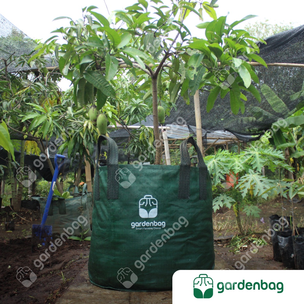Grosir Planter Bag Tanaman Garden Bag 200 Liter Ukuran 65 x 60 Hijau Tebal