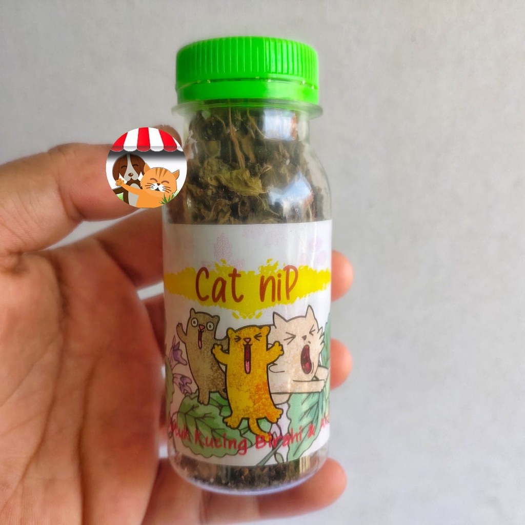 Catnip Daun Kering Cat Mint 15gr - Untuk Kucing Birahi Anti Stress