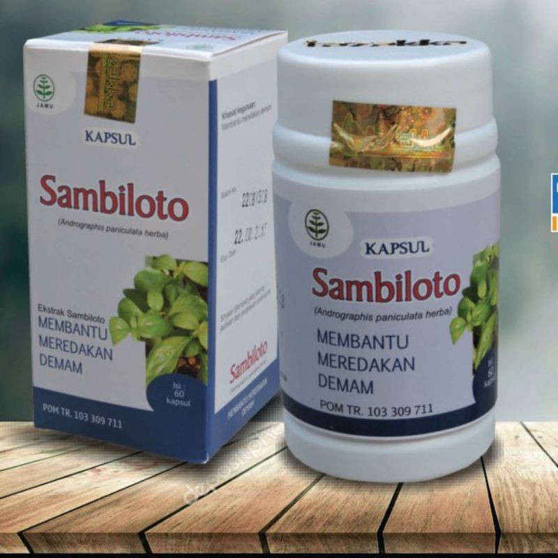 

KAPSUL SAMBILOTO ISI 60