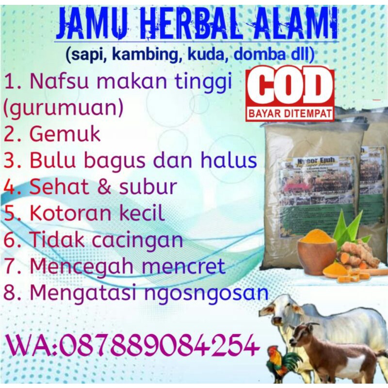 

nyeor ejuh jamu tradisional alami