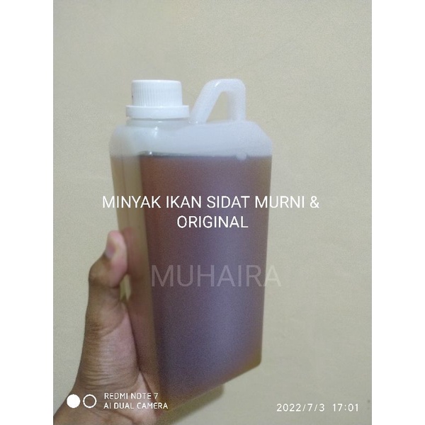 Minyak Ikan Sidat Murni 100% Dari Ikan Sidat - Minyak Ikan SIDAT Original - Untuk Kecerdasan Otak An