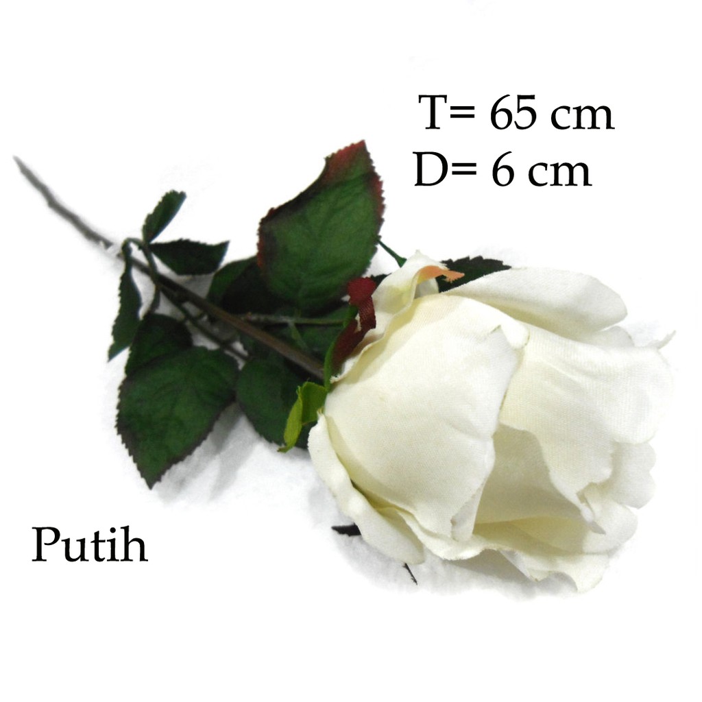 Mawar Putih / White Rose / Mawar / Mawar Tangkai