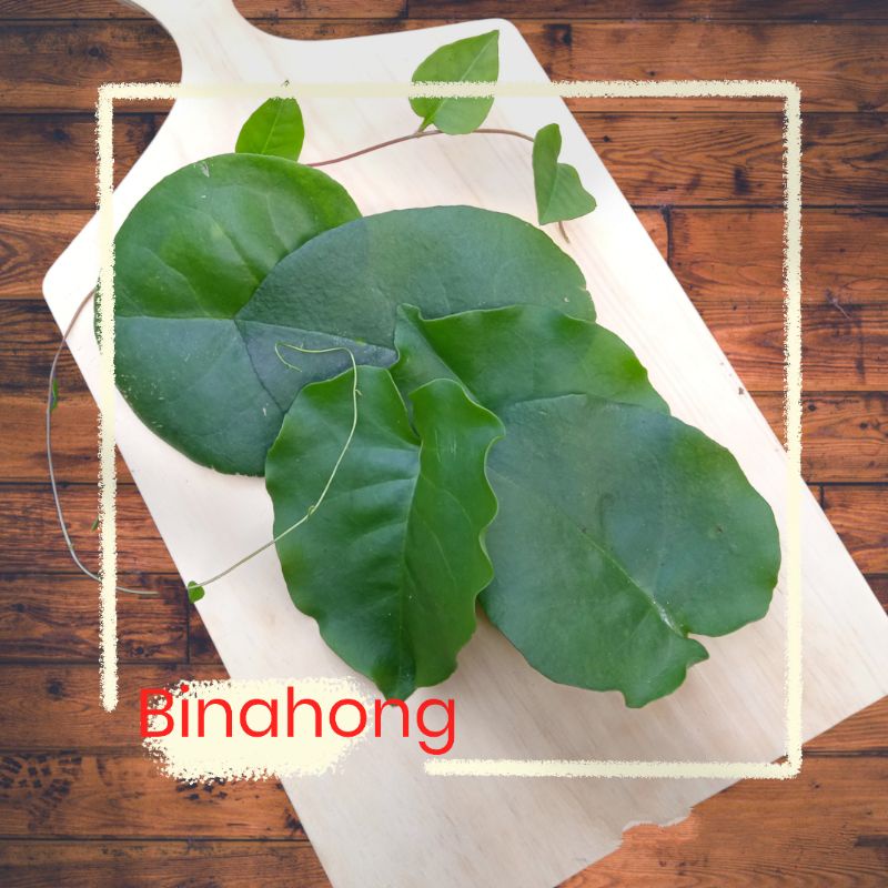

Daun binahong fresh 100 gram
