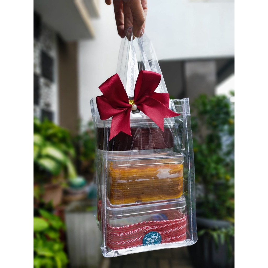 

tas goodie bag mini transparan tas goodie kue kering nastar tas mini transparan TAS NASTAR TOPLES