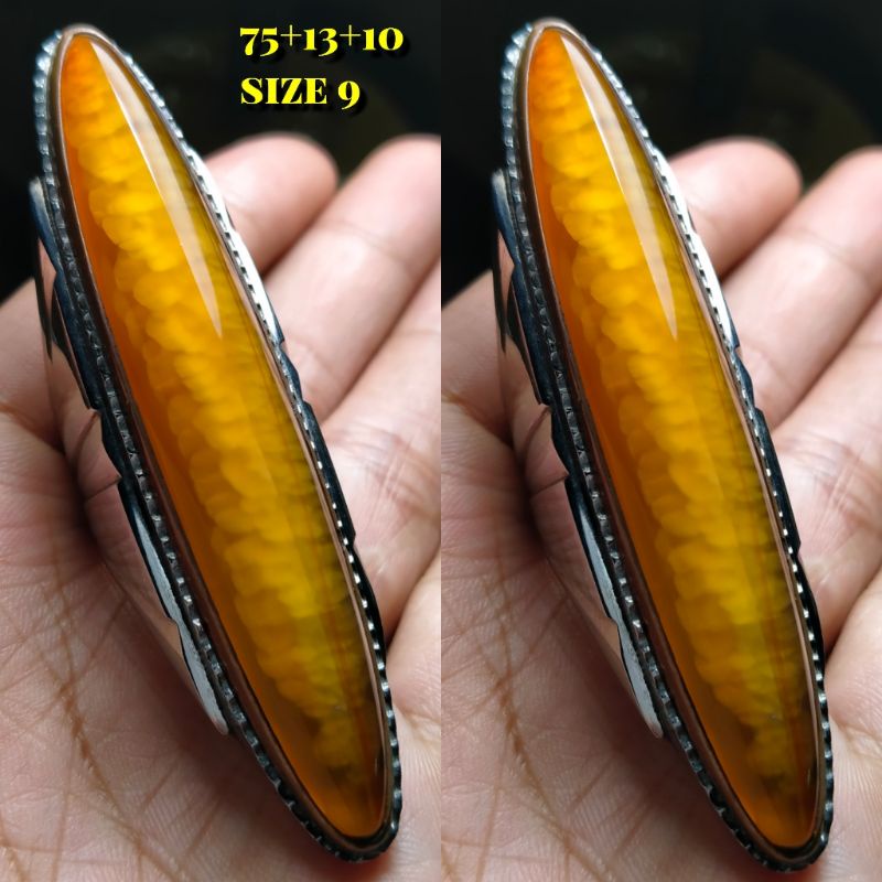 PANDAN NANAS RUDAL SISIK BETOK