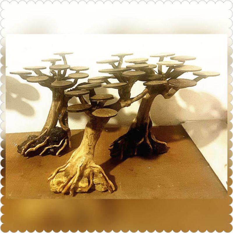 BONSAI AQUASCAPE MINI/BONUS MOSS wepping/COD