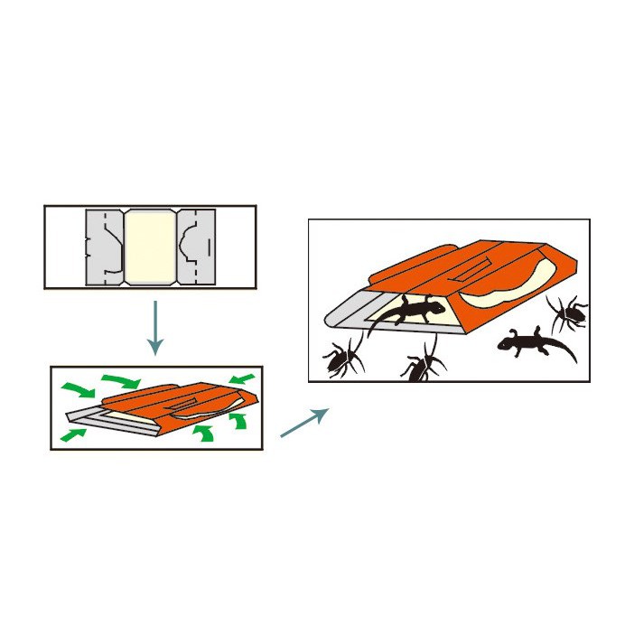 LEM PERANGKAP CICAK DAN KECOAK COCKROACH &amp; LIZARD TRAP KECOA