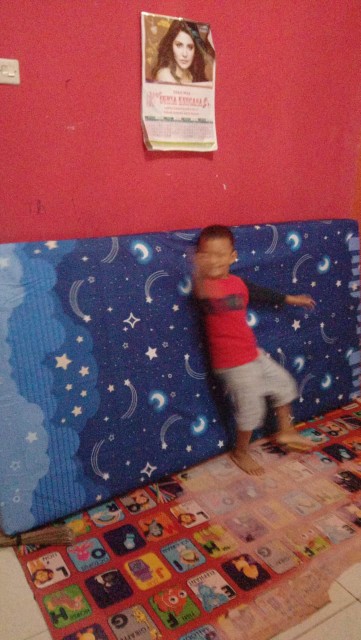 Monalisa Premium Sarung Kasur Uk 100 T 20 - Dewasa