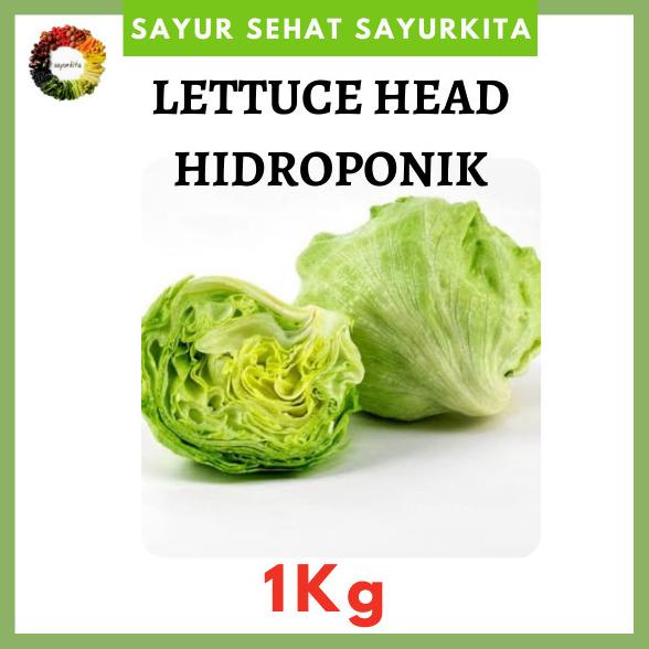 

SALE Lettuce Head Hidroponik - 1kg