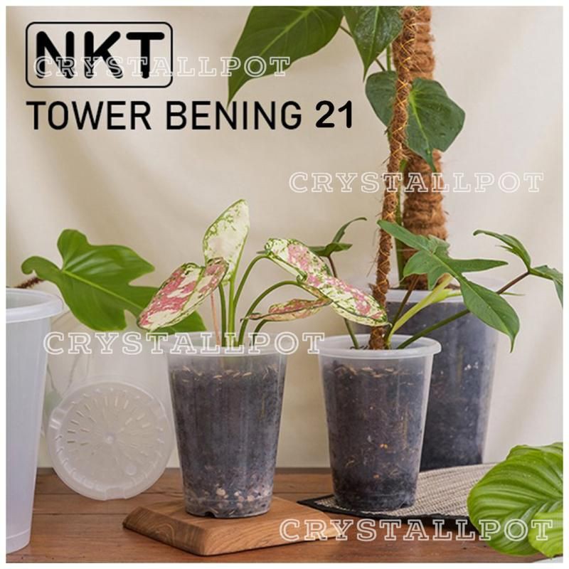 pot bunga tanaman tinggi nkt tower bening trasparan 21cm - nkt tower