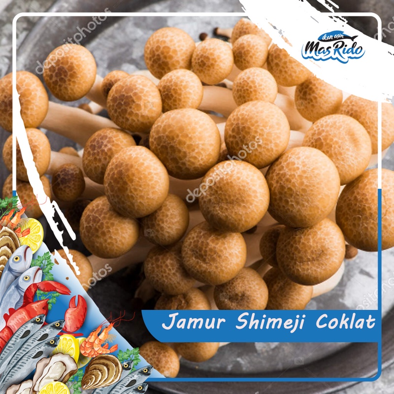 

Jamur Shimeji Coklat Segar Kwalitas Super Harga Murah