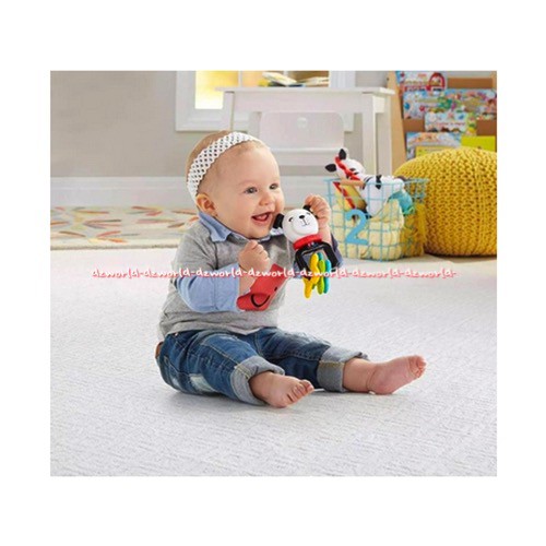 Fisher Price Tini Take Along Giftset Mainan Camera Untuk Anak