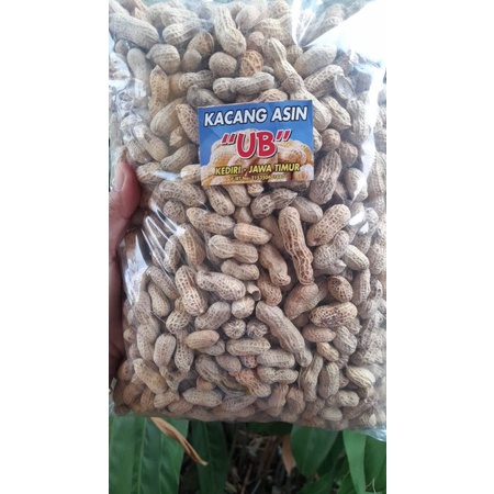 

KACANG ASIN "UB