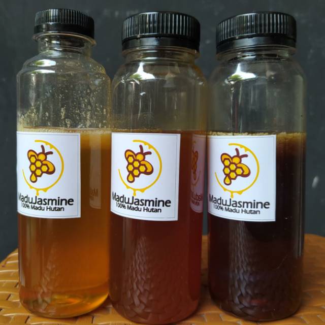 

Madu Jasmine 250gr| 100% Madu Hutan Sumatera