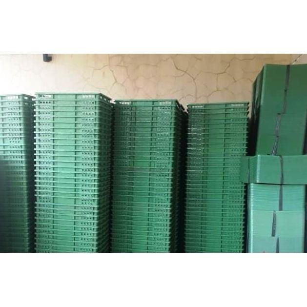 +%+%+%] Keranjang Buah / Krat Plastik Terlaris