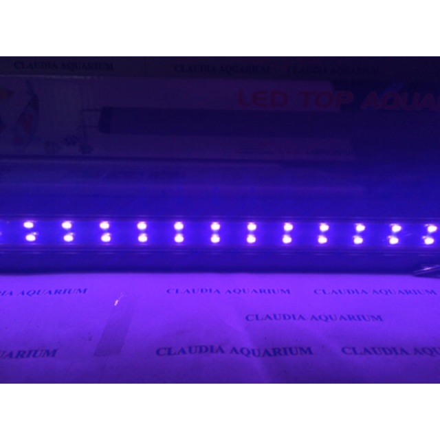 LAMPU LED AQUARIUM AQUASCAPE IKAN LOUHAN SAKKAI PRO SPA PINK P 600